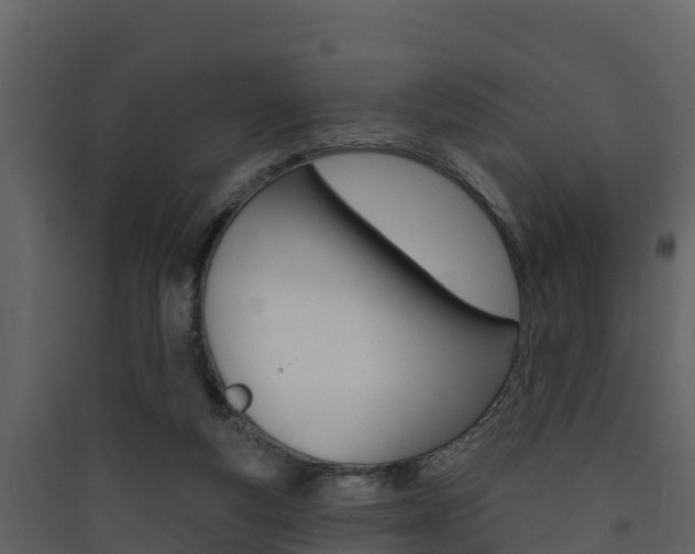 X0000090420163200707130954