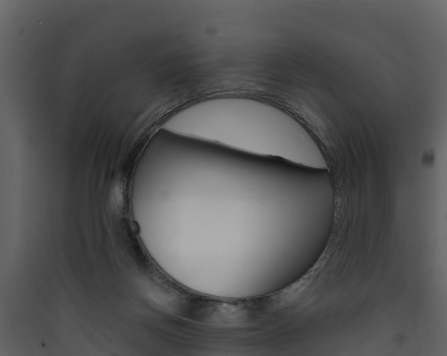X0000090420166200707130954