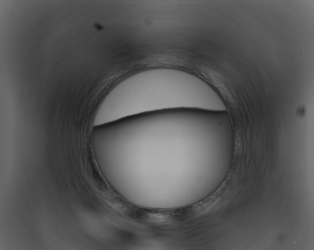 X0000090420167200707130954