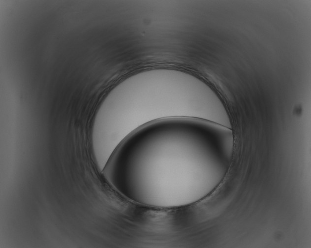 X0000090420170200707130954