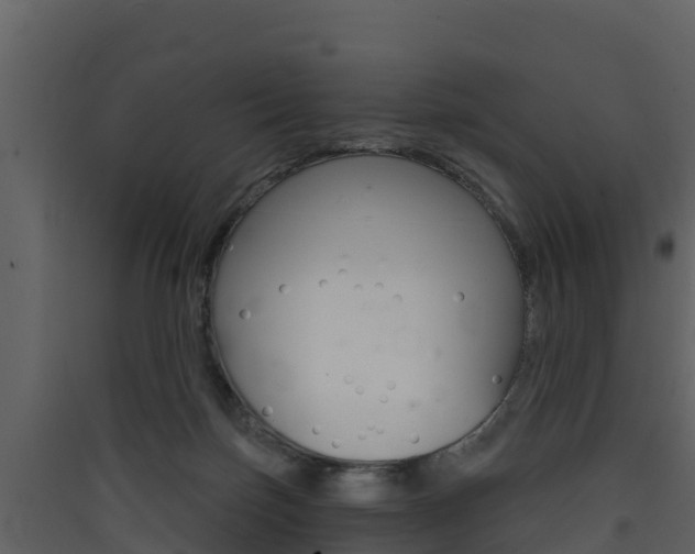 X0000090420171200707130954