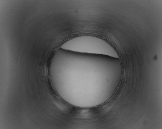 X0000090420173200707130954