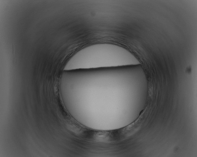 X0000090420175200707130954
