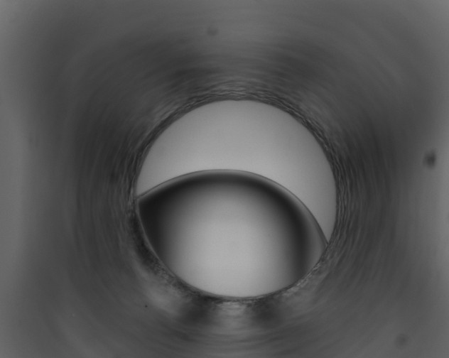 X0000090420176200707130954