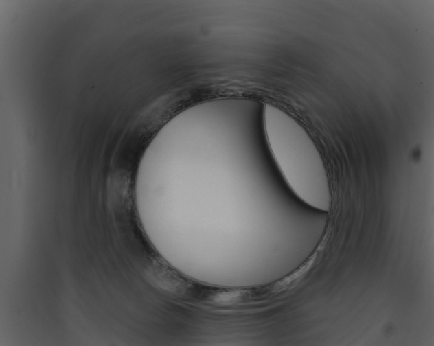 X0000090420178200707130954