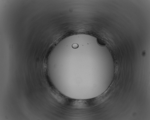 X0000090420179200707130954
