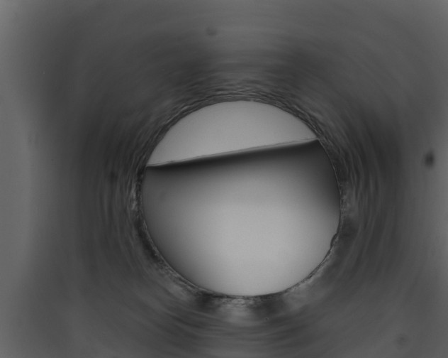 X0000090420182200707130954