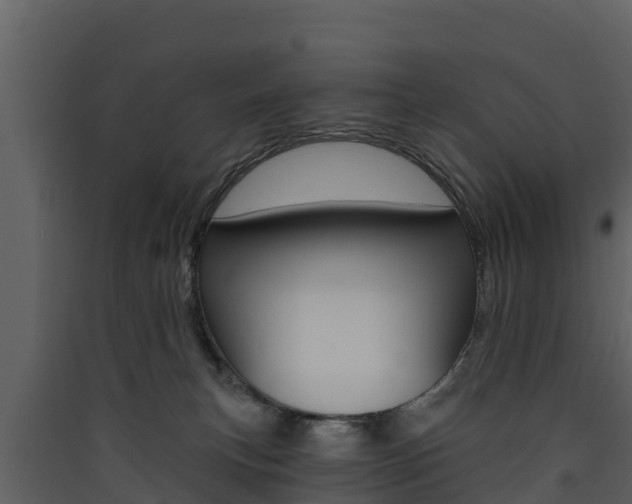 X0000090420183200707130954