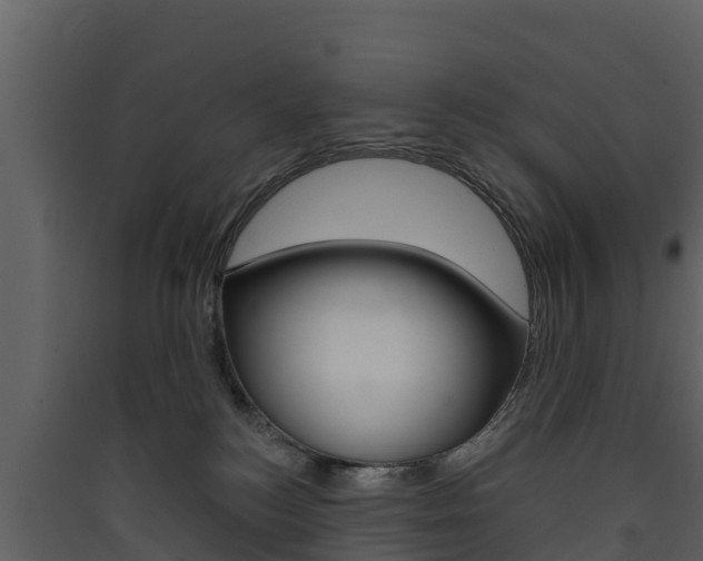 X0000090420184200707130954