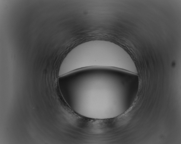 X0000090420186200707130954