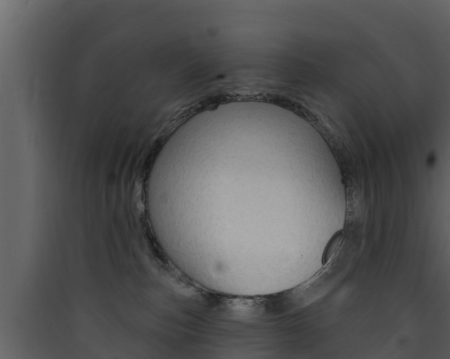 X0000090420187200707130954