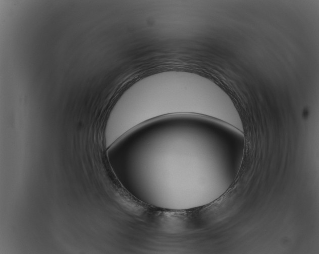 X0000090420188200707130954