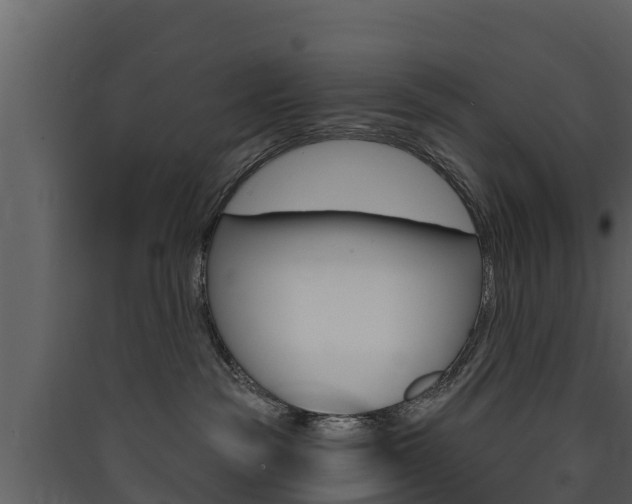 X0000090420189200707130954