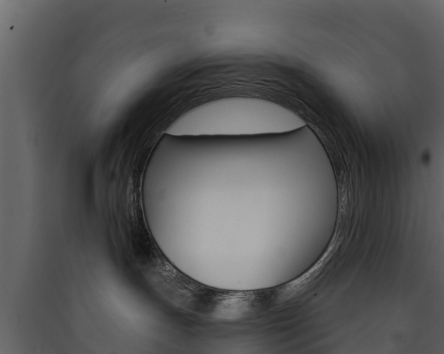 X0000090420191200707130954
