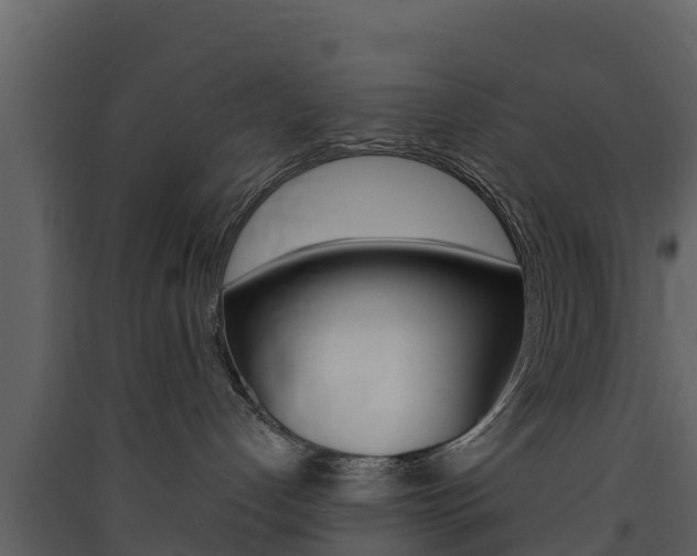 X0000090420192200707130954