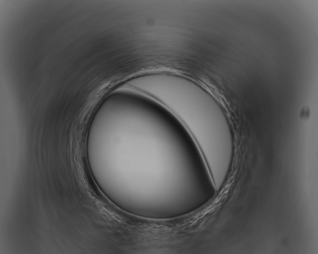 X0000090420193200707130954