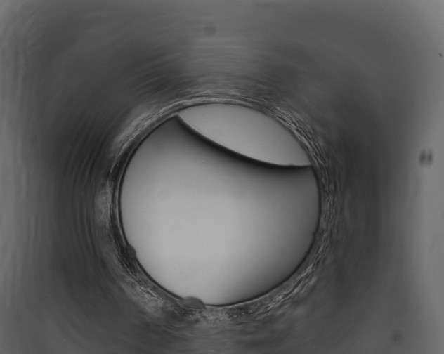 X0000090420194200707130954