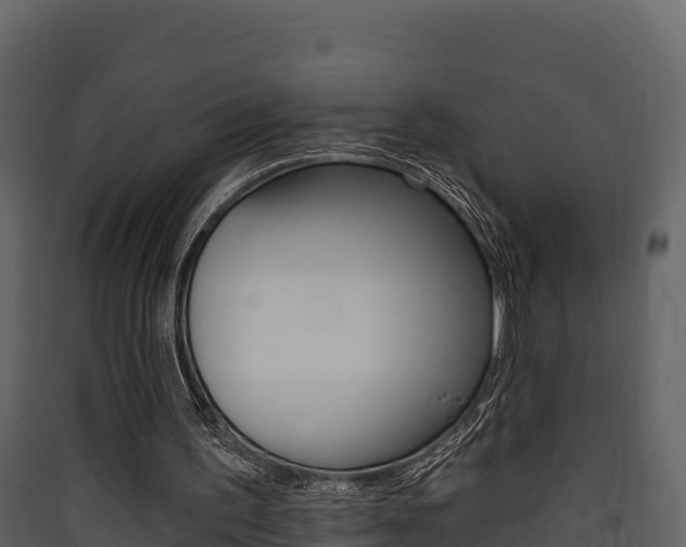 X0000090420195200707130954
