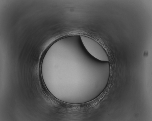 X0000090420196200707130954