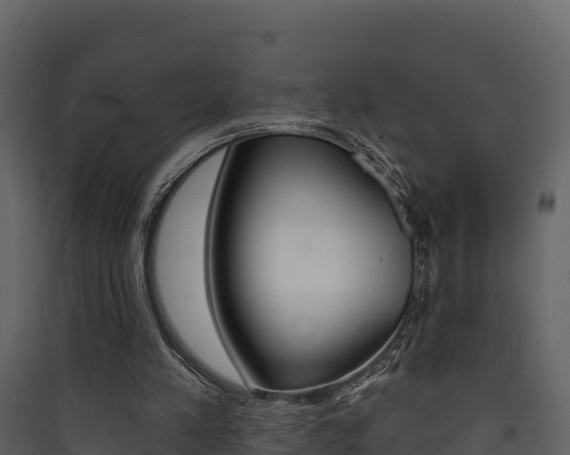 X0000090420197200707130954