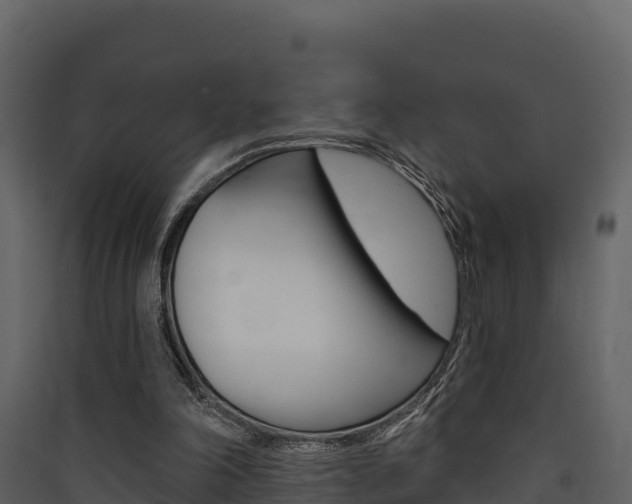 X0000090420198200707130954