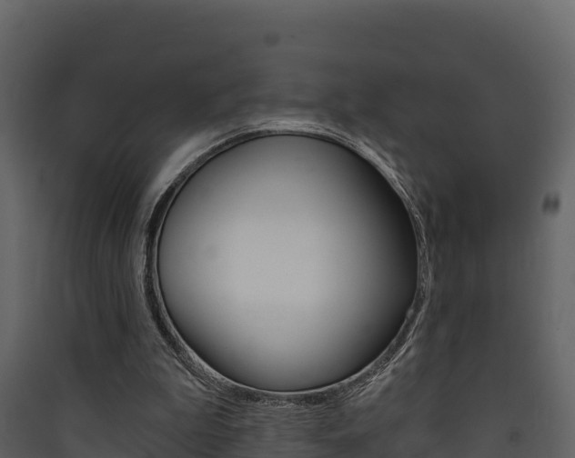 X0000090420199200707130954