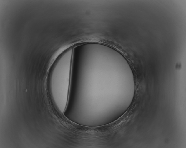X0000090420200200707130953