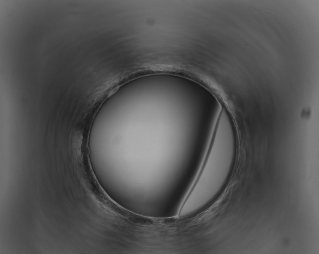 X0000090420201200707130953