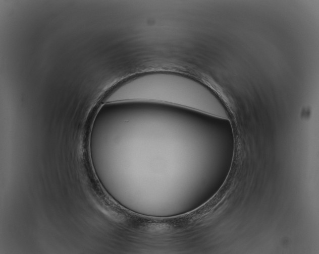X0000090420203200707130953