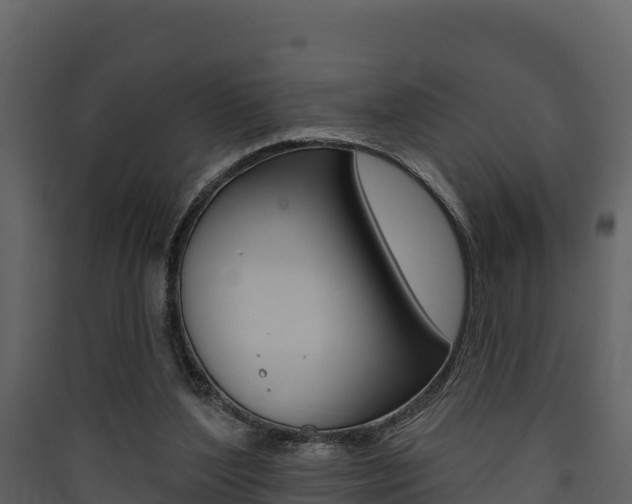 X0000090420204200707130953