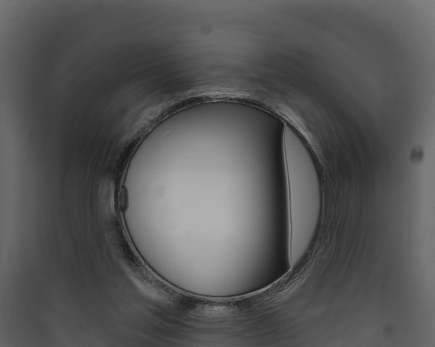 X0000090420205200707130953