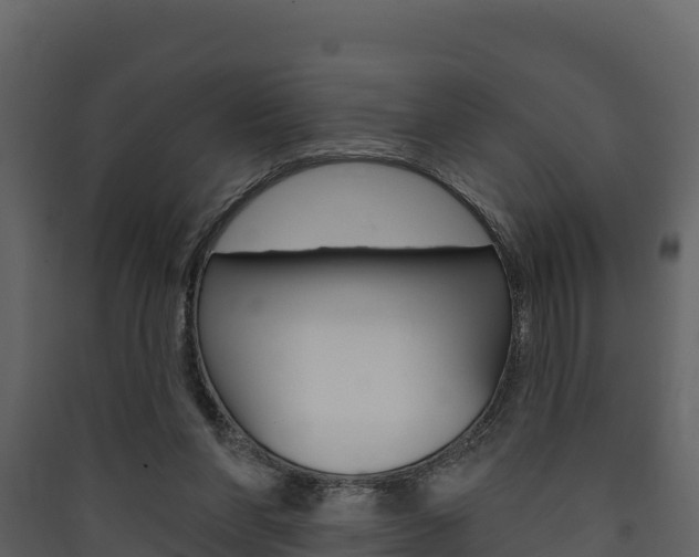 X0000090420206200707130953