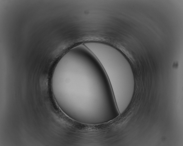 X0000090420207200707130953