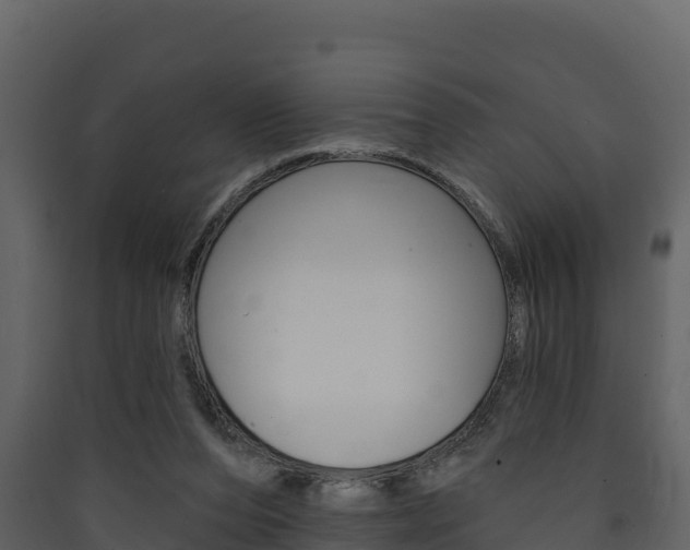 X0000090420208200707130953
