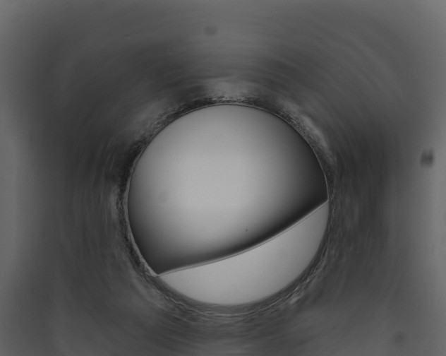 X0000090420209200707130953