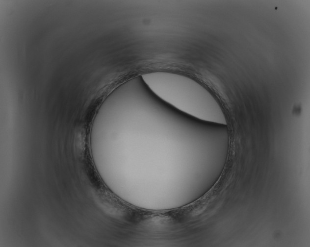 X0000090420210200707130953