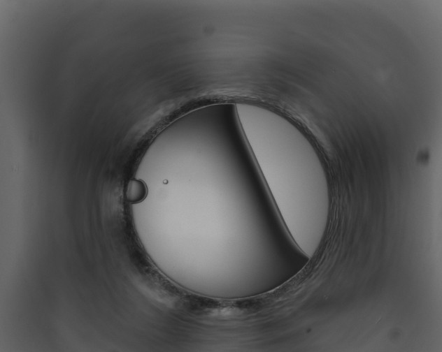 X0000090420212200707130953