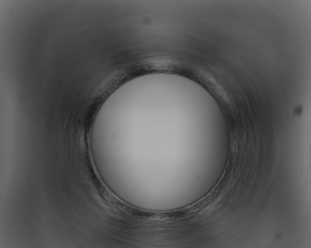 X0000090420213200707130953