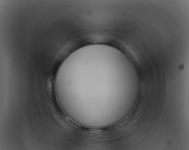 X0000090420214200707130953