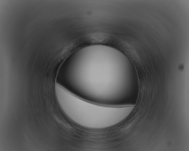 X0000090420215200707130953