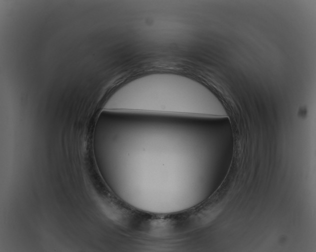 X0000090420216200707130953