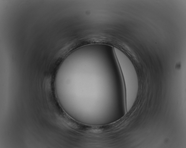 X0000090420217200707130953