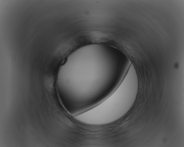 X0000090420219200707130953