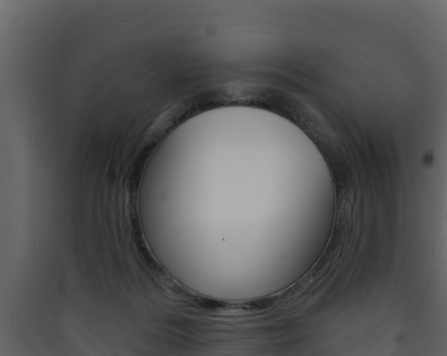 X0000090420220200707130953