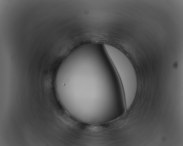 X0000090420221200707130953