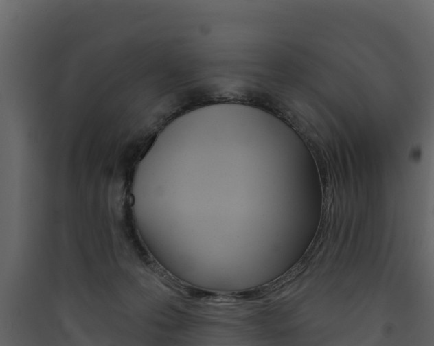 X0000090420223200707130953