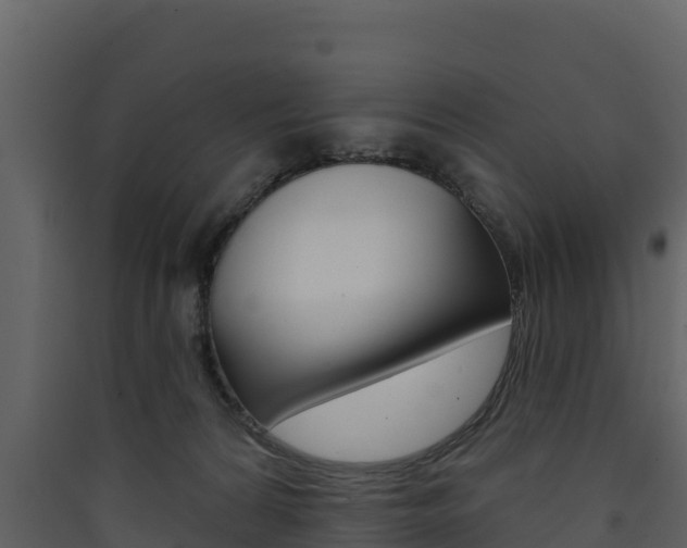 X0000090420224200707130953