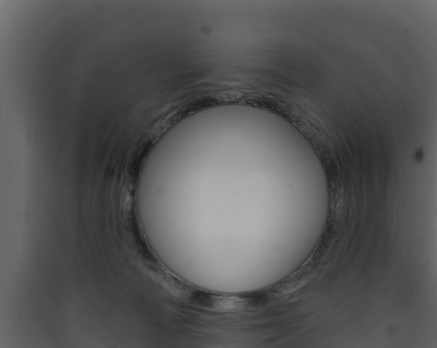X0000090420226200707130953