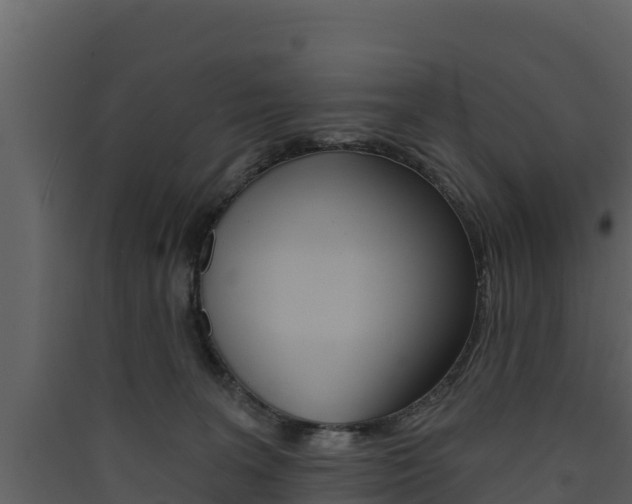 X0000090420227200707130953