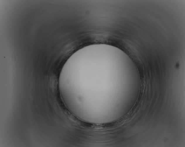X0000090420228200707130953
